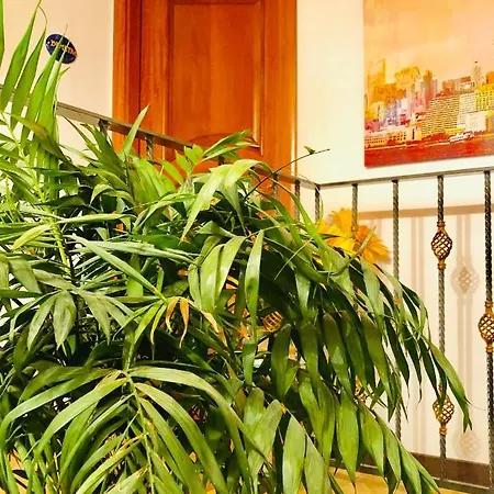 Nocleg ze śniadaniem Lemons Coast